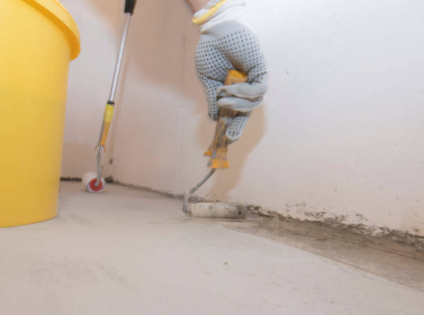 Professional Pest Control in Riverton, WY